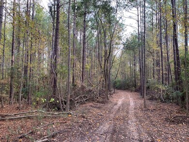 . Mcmillan Rd, Osyka, MS 39657 - photo 2