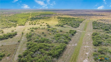 000 Fm 239, Tivoli, TX 77990 - photo 2