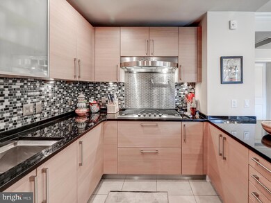 The Ritz-Carlton Residences, Baltimore, MD 21230 - photo 7