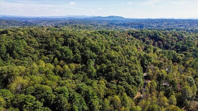 3468 Fir Ln, Ellijay, GA 30540 - photo 7