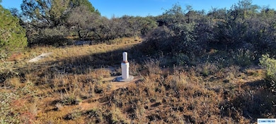 Lot 3A Cattlemans Trail, Silver City, NM 88061 - photo 3