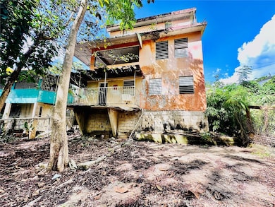 Carr 159 Sostre, Corozal, PR 00783 - photo 2