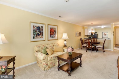 244 S Reynolds St unit 403, Alexandria, VA 22304 - photo 5