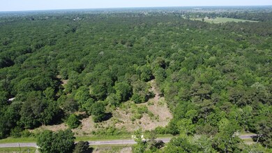 TBD County Road 2060, Hull, TX 77564 - photo 7