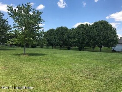 316 Bogard Ln, Mount Washington, KY 40047 - photo 5