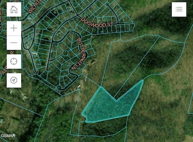 Tract 4 Wilhite Rd, Pittman Center, TN 37876 - photo 6