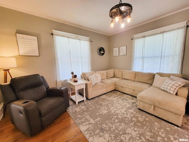 216 E 3rd St, Flora, IL 62839 - photo 3