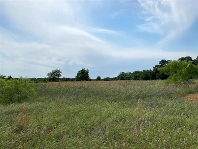 1105 County Road 807, Cleburne, TX 76031 - photo 4