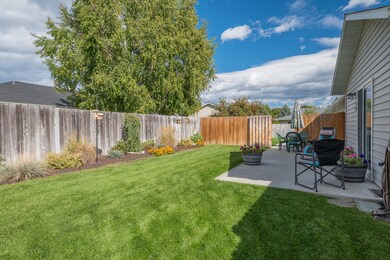 back yard and patio