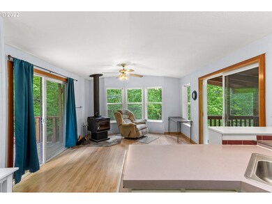 51 Carr Rd, Trout Lake, WA 98650 - photo 5