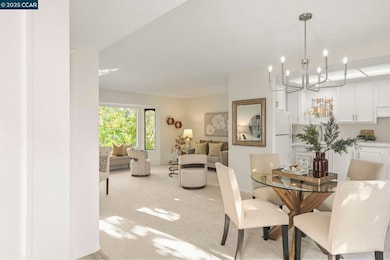 1324 Singingwood Ct unit 3, Walnut Creek, CA 94595 - photo 4