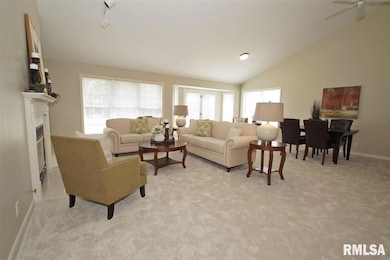 4510 W Jewelwood Ct, Peoria, IL 61615 - photo 7