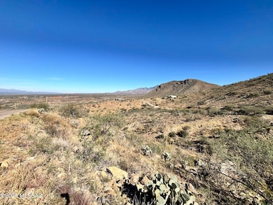 1770 Calle Pescador unit 1, Rio Rico, AZ 85648 - photo 4