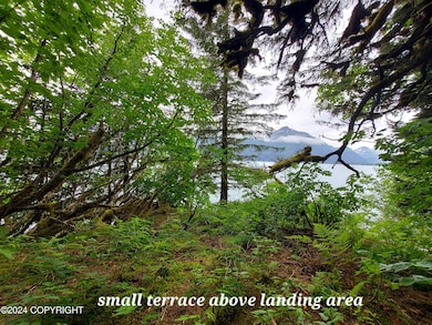 Tract B Asls 86-175 Day Harbor, Seward, AK 99664 - photo 5