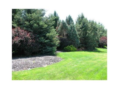 Yard/Garden.