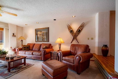 399 W Park Ave unit A1, Durango, CO 81301 - photo 5