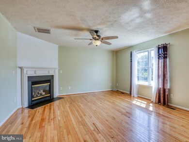 942 Beehive Way, Winchester, VA 22601 - photo 4