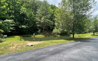 173 Kassey Cir, Mineral Bluff, GA 30559 - photo 3