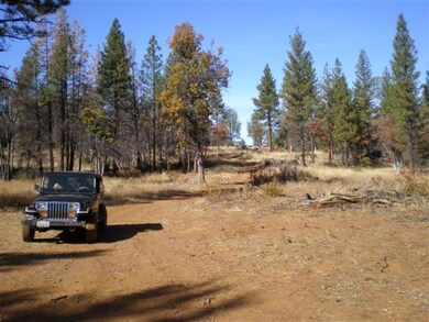 Hogsback area #2