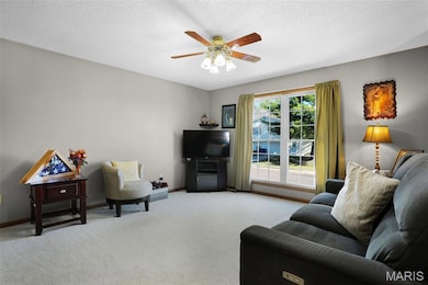 412 Locust St, New Haven, MO 63068 - photo 6