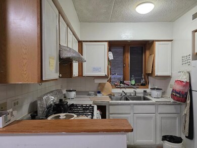 251 W 24th St unit 1, Chicago, IL 60616 - photo 4