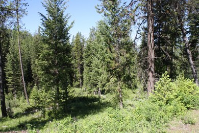 IMG_6125