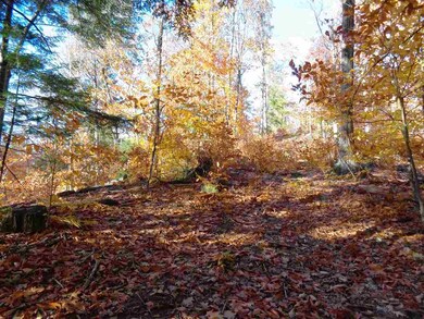 Lot 12 Dick Brown Rd, Bristol, NH 03222 - photo 3