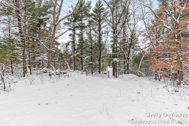 6007 S Cypress Ave, Croton Township, MI 49337 - photo 5