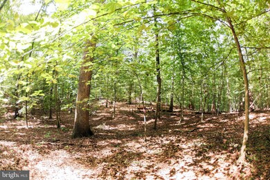 0 Laurel Dr unit MDPG2164030, Accokeek, MD 20607 - photo 3