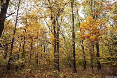 0 Cr 663, Oak Grove, AR 72660 - photo 3