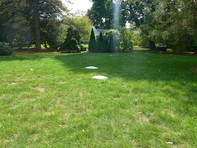 Yard/Garden.