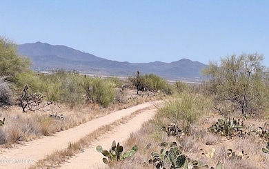 14465 S Ezra Place unit 358, Three Points, AZ 85736 - photo 2