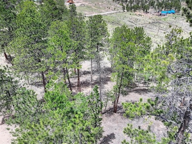 54 Holmes Gulch Rd, Bailey, CO 80421 - photo 2