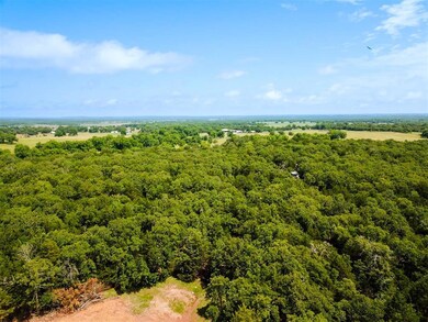 Drone / aerial view of a forest
