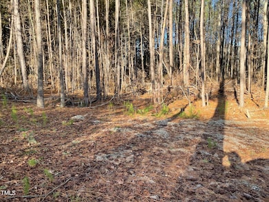 0 Turlington Rd unit 10127617, Dunn, NC 28334 - photo 2