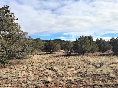 5354 N Forest Line Rd, Ash Fork, AZ 86320 - photo 7