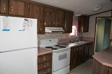 IMG_2525 (2)