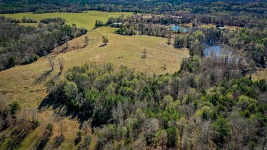 TBD Polk Road 37, Hatfield, AR 71953 - photo 5