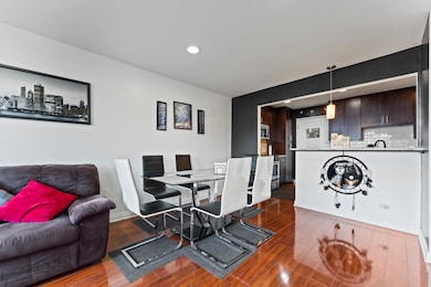 4623 N Chester Ave unit 410W, Chicago, IL 60656 - photo 5