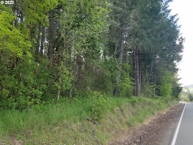 0 Willis Creek Rd unit 23389927, Winston, OR 97496 - photo 6