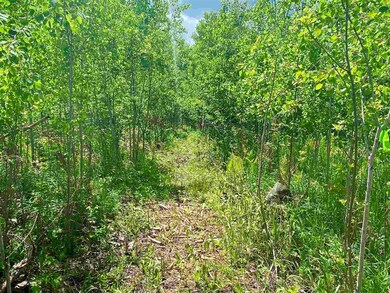 0 Byers Rd, Deerbrook, WI 54424 - photo 7