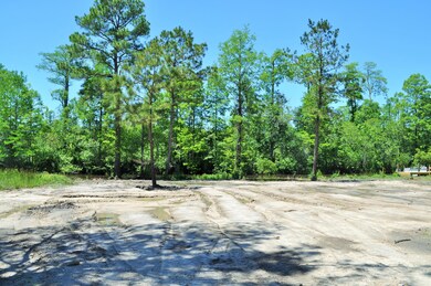 O Lowtide Dr, Escatawpa, MS 39562 - photo 4