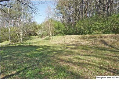 2149 Old Springville Rd, Center Point, AL 35215 - photo 4