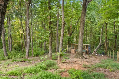 Pine Mountain-27