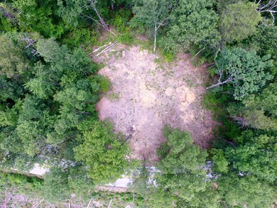 DJI_0009