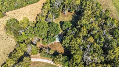 1310 Spring Place Rd, Rydal, GA 30171 - photo 7