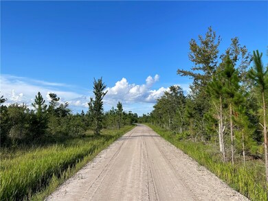 0 Blackshear Hwy unit 1636195, Surrency, GA 31563 - photo 5