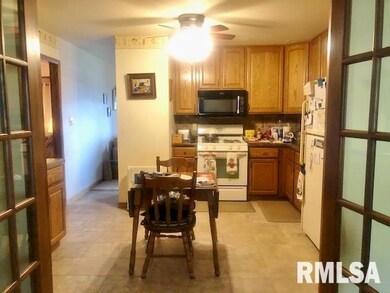 115 Carter Ln, Lincoln, IL 62656 - photo 7