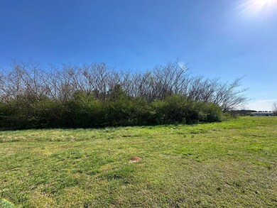 000 Hwy 43, Hackleburg, AL 35564 - photo 7