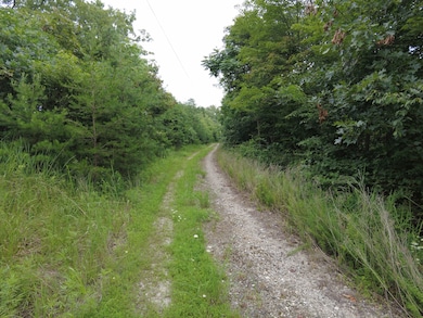 John Ward Rd, Peebles, OH 45660 - photo 2